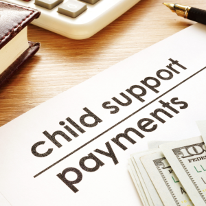 child support options